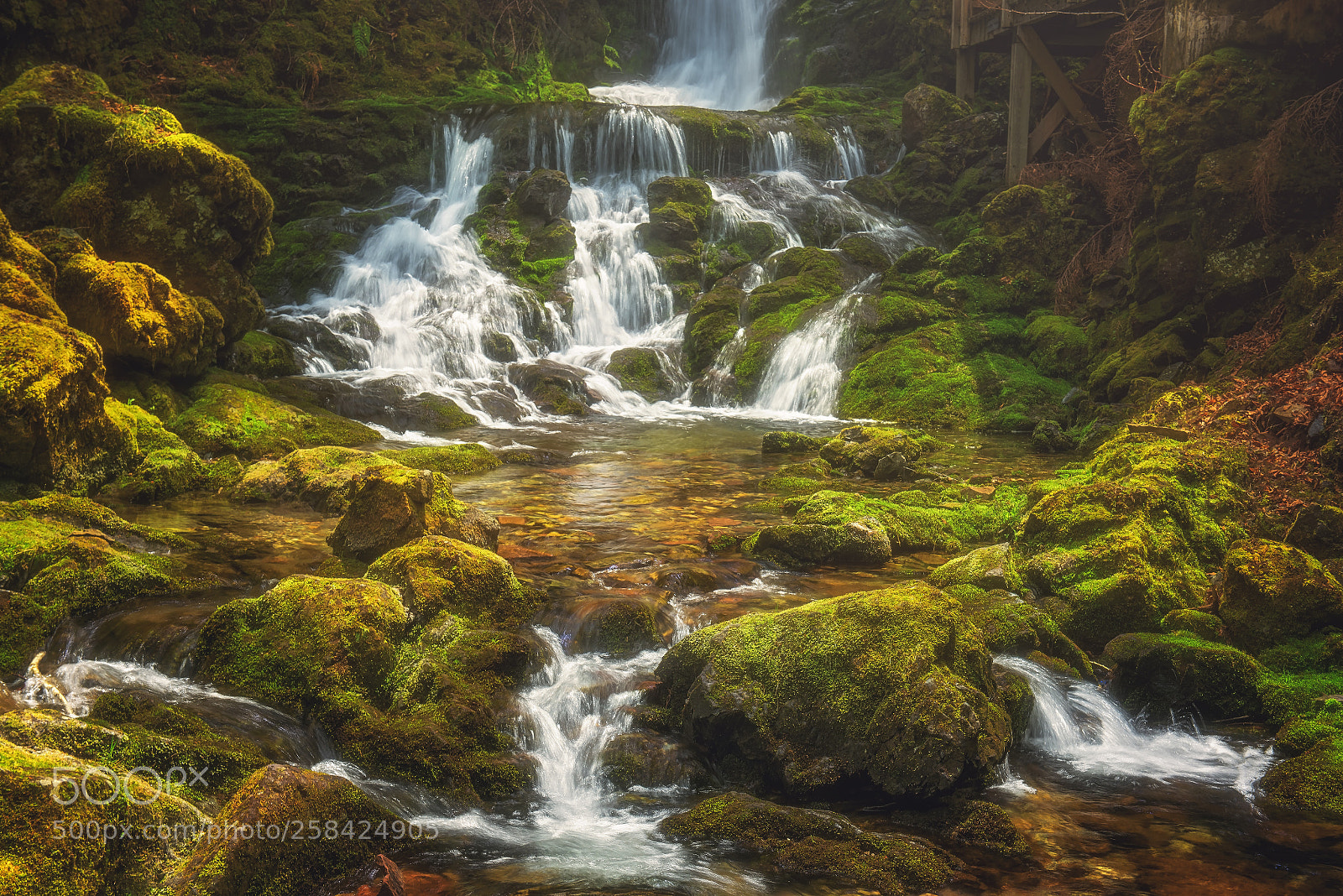 Nikon D750 sample photo. Dickson falls photography