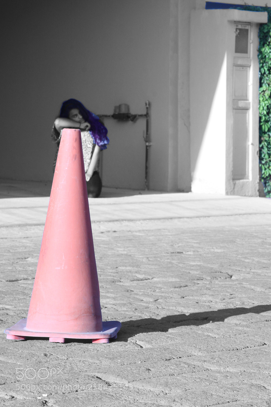 Canon EOS 50D sample photo. Reny photography
