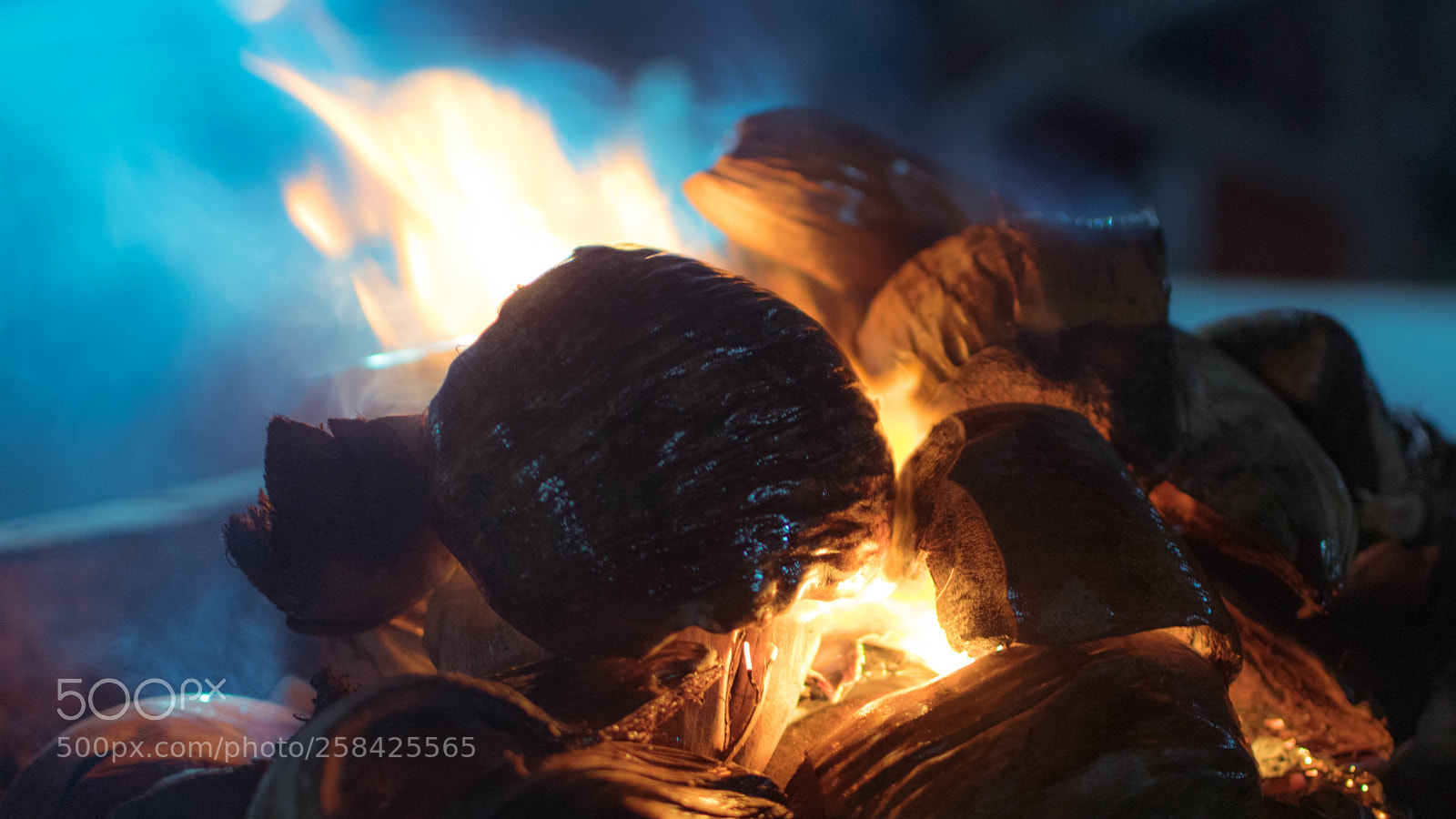 Nikon D3300 sample photo. Coconut coal photography