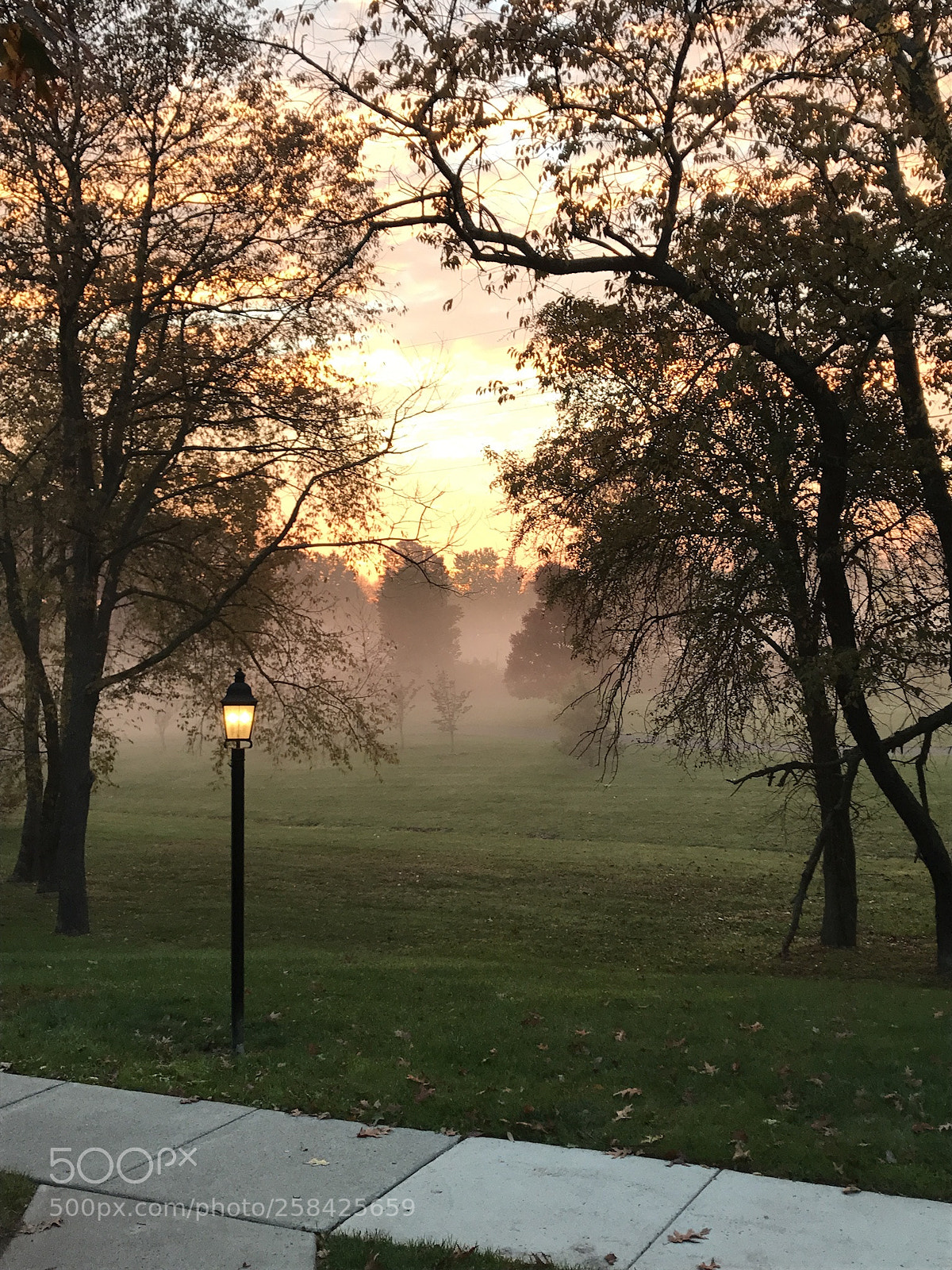 Apple iPhone 7 sample photo. Foggy sunrise photography