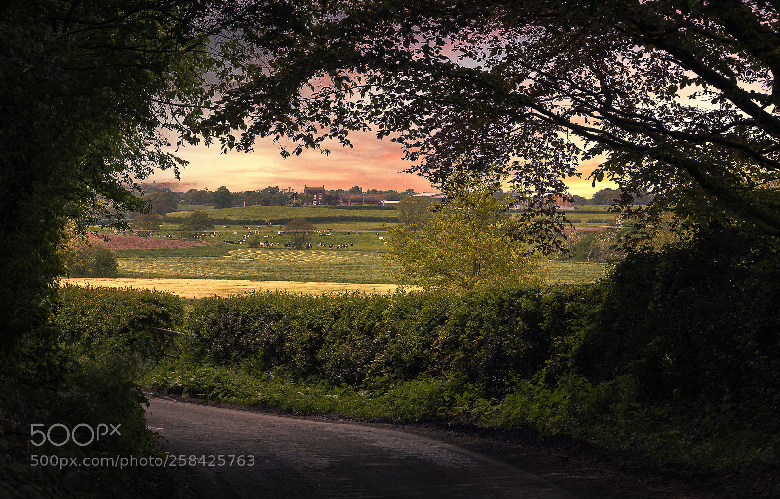 Nikon D750 sample photo. Longford view photography