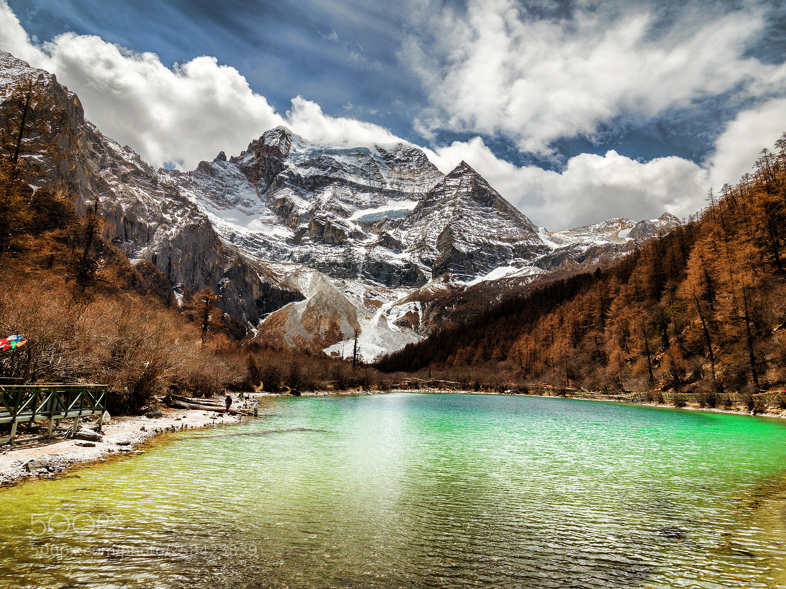 Olympus OM-D E-M1 Mark II sample photo. Yading nature reserve of photography