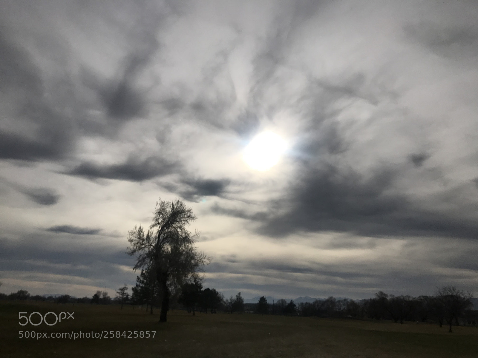Apple iPhone 7 Plus sample photo. Obscure sun.  photography