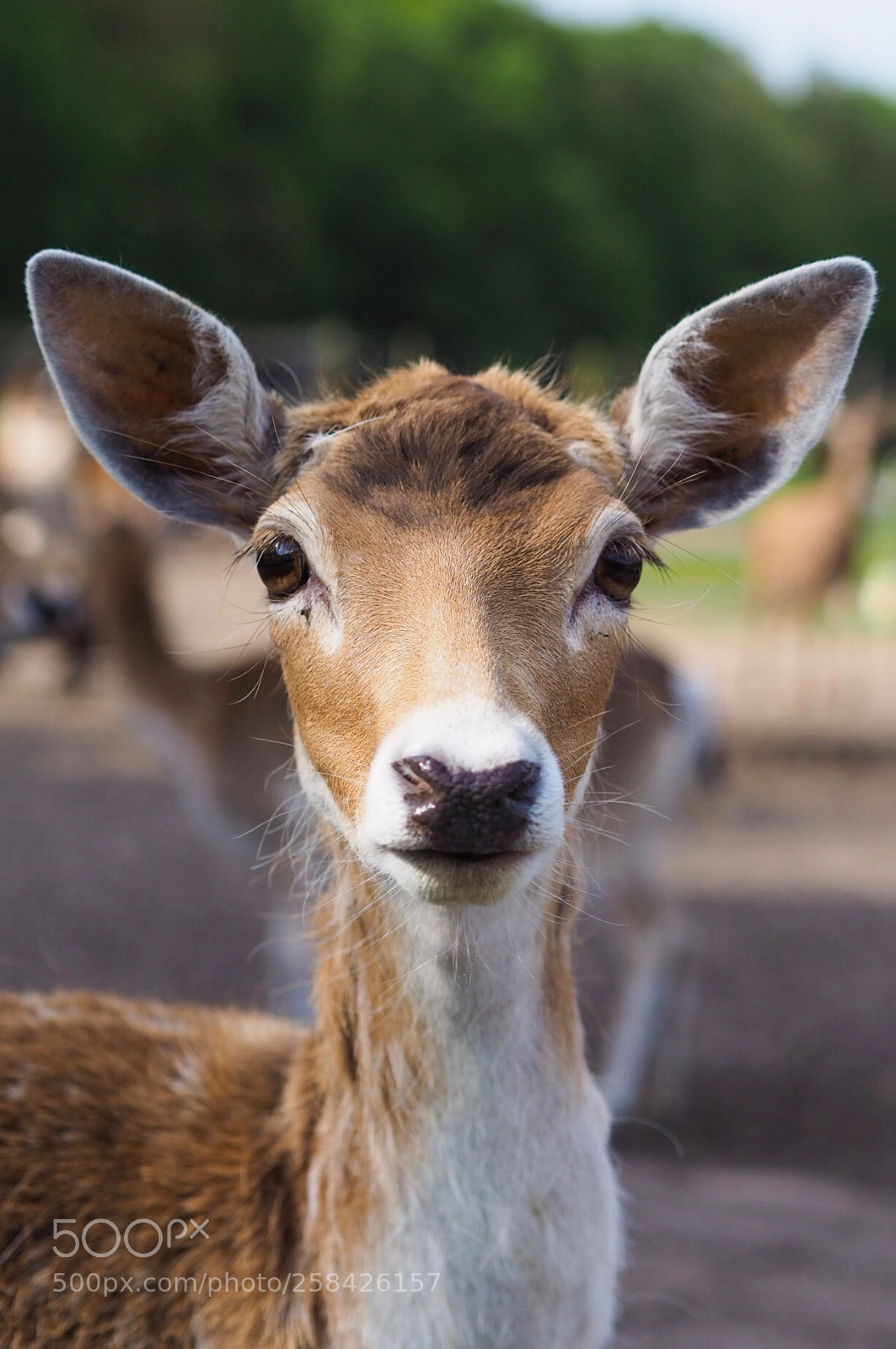 Olympus OM-D E-M10 II sample photo. Hi there :) photography