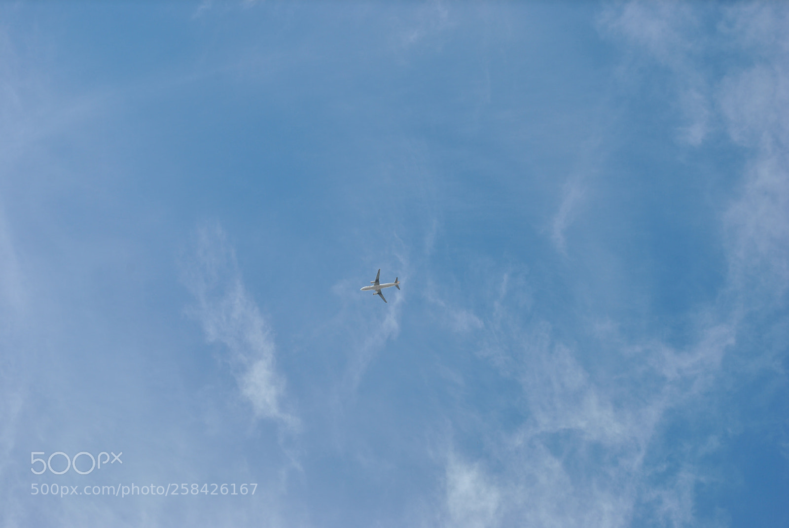 Nikon D3000 sample photo. ✈ photography