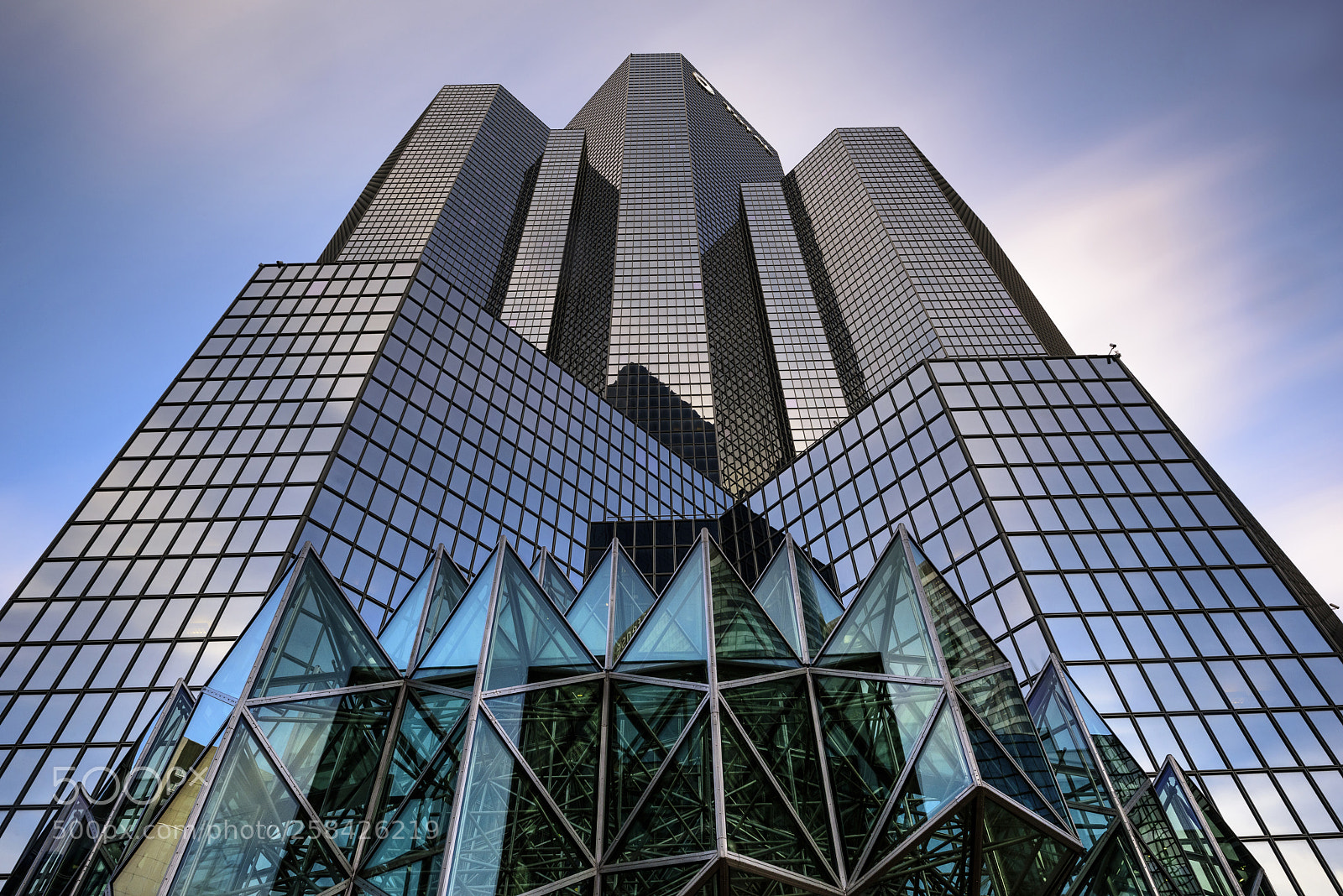 Nikon D810 sample photo. Among giants ii photography