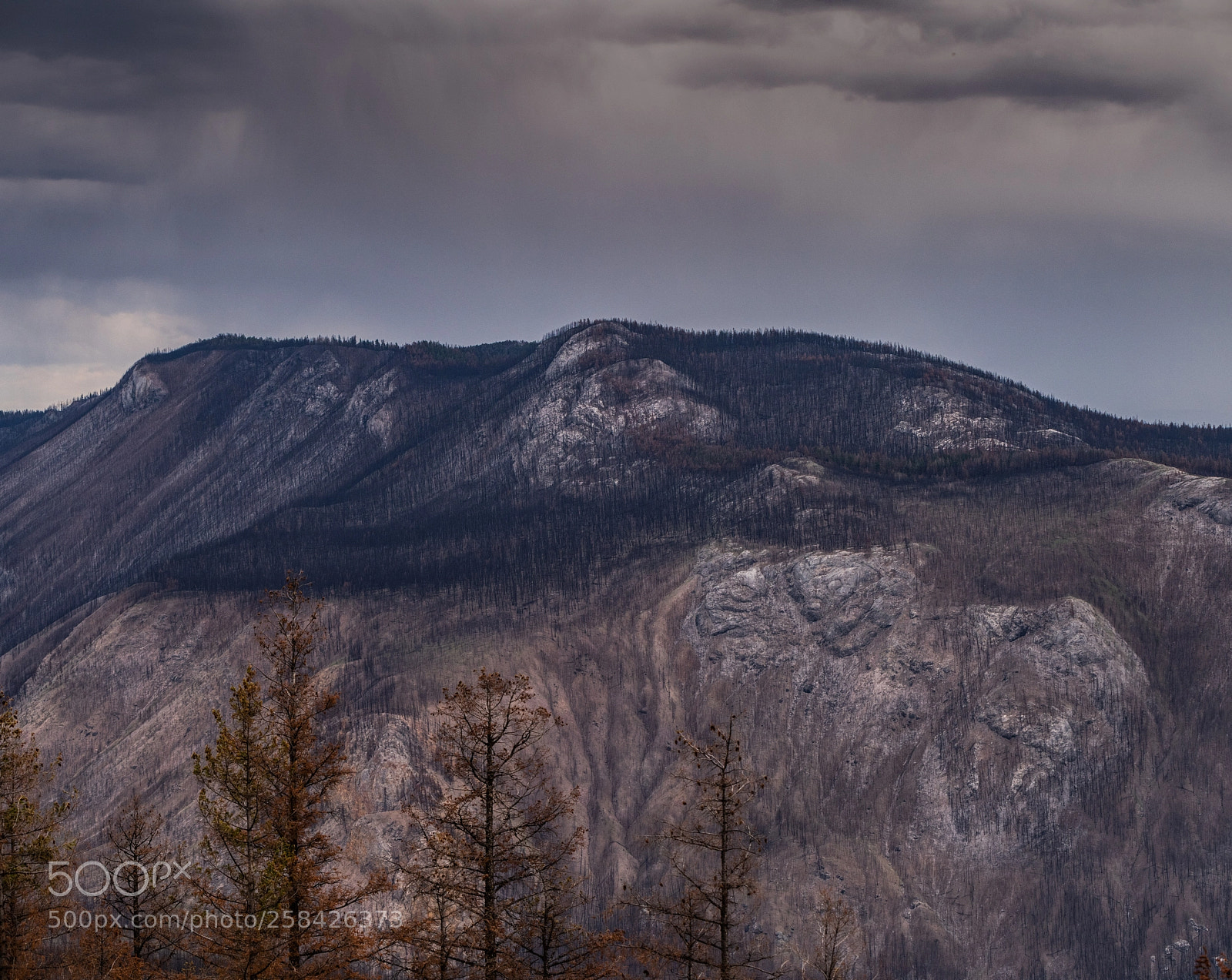 Nikon D850 sample photo. Charred chilcotin photography