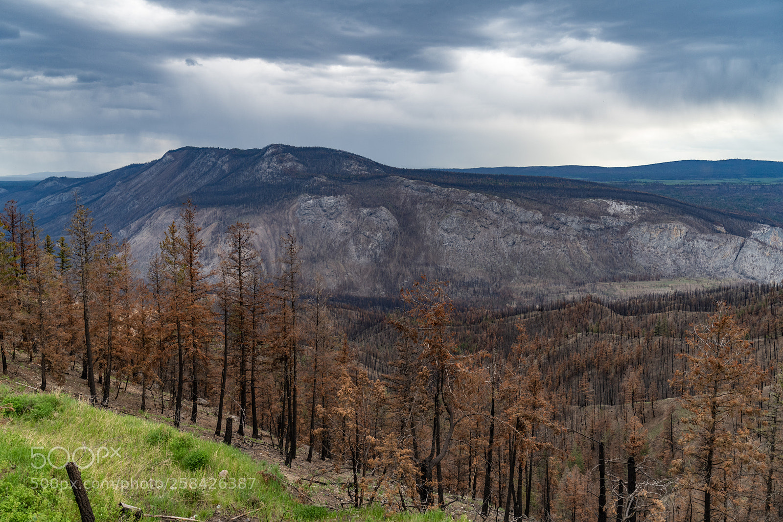 Nikon D850 sample photo. Chilcotin photography