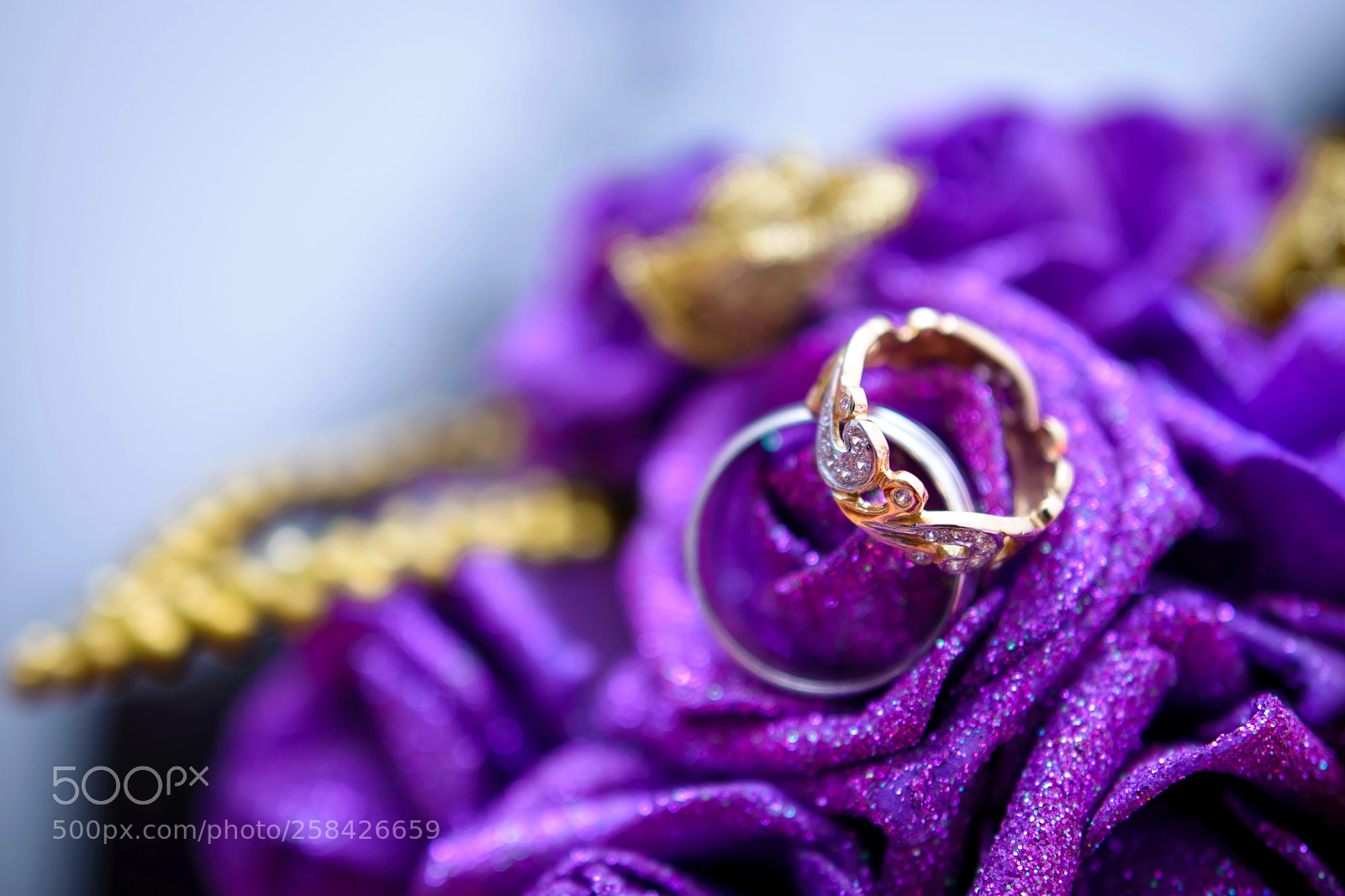 Nikon D610 sample photo. Wedding rings photography