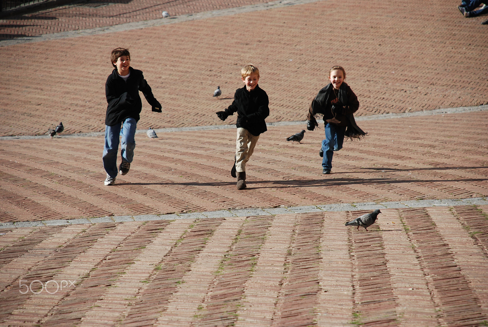Nikon D80 sample photo. Rascals! photography