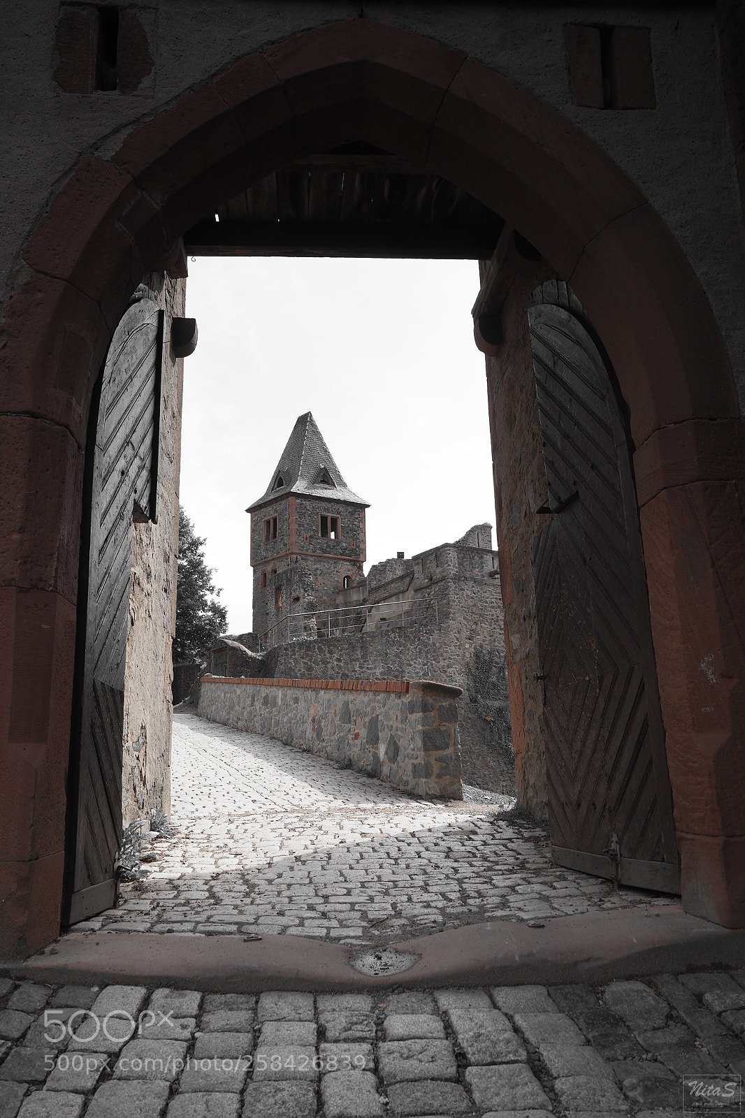Olympus OM-D E-M1 Mark II sample photo. Frankenstein castle by day photography