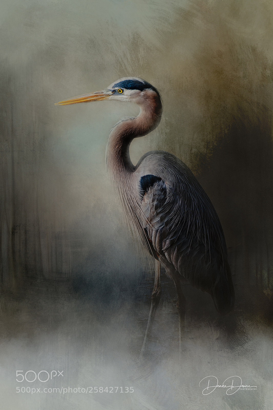 Fujifilm X-T2 sample photo. Great blue heron photography