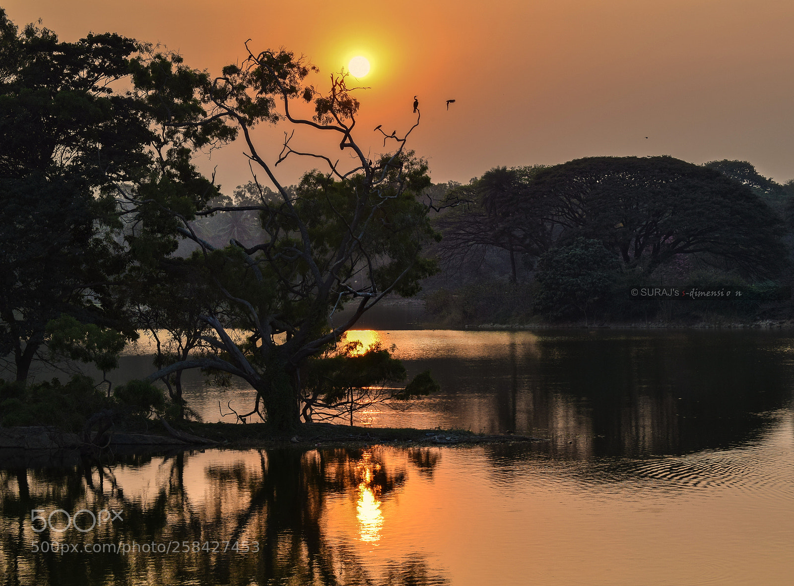 Nikon D3300 sample photo. Daybreak photography