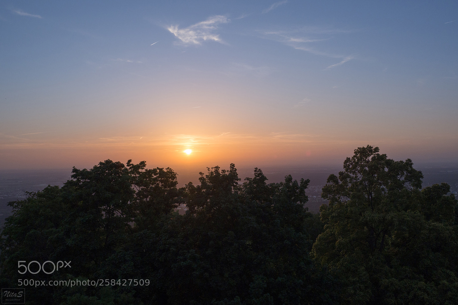 Olympus OM-D E-M1 Mark II sample photo. Sunset behind the trees photography