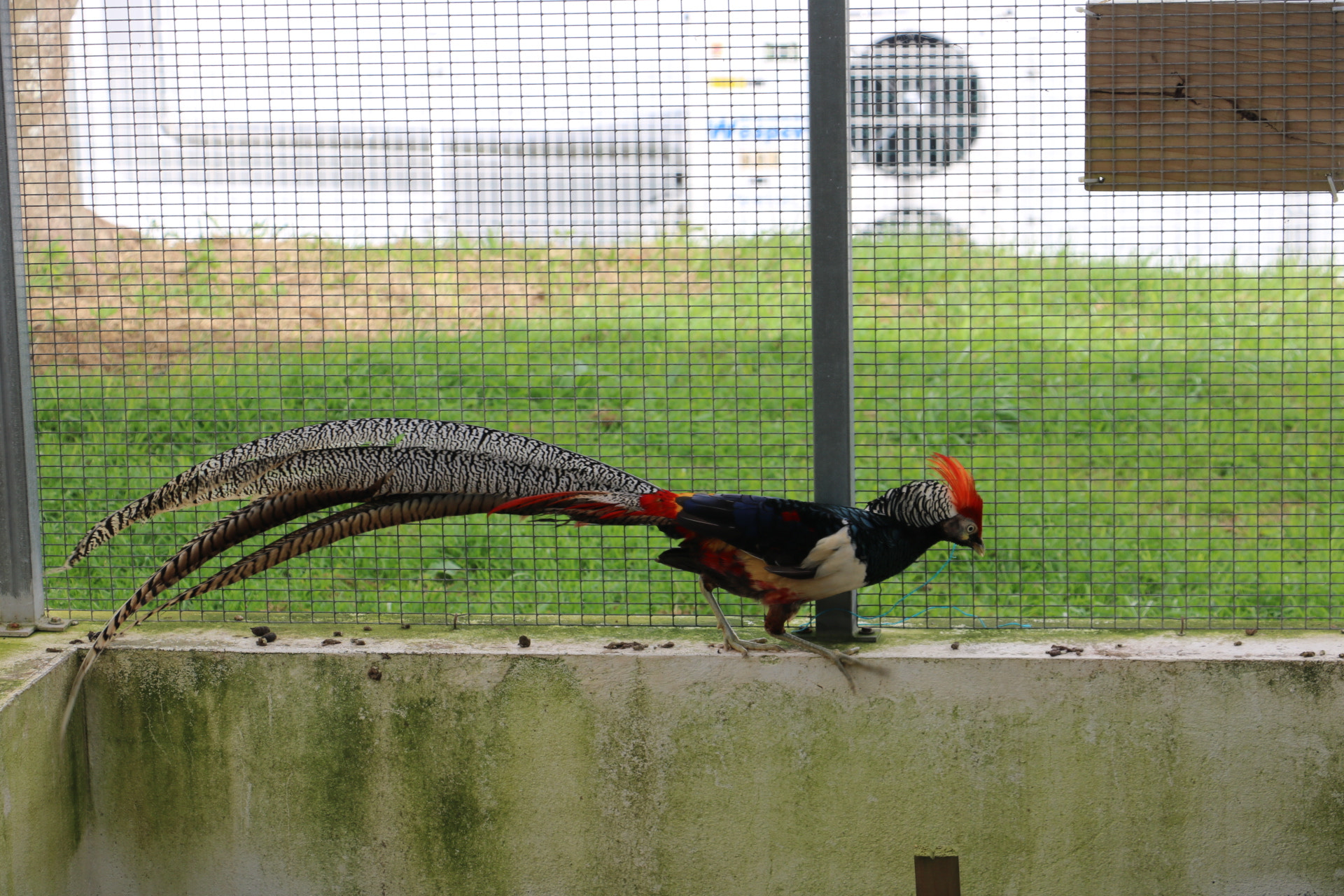 Canon EOS 750D (EOS Rebel T6i / EOS Kiss X8i) sample photo