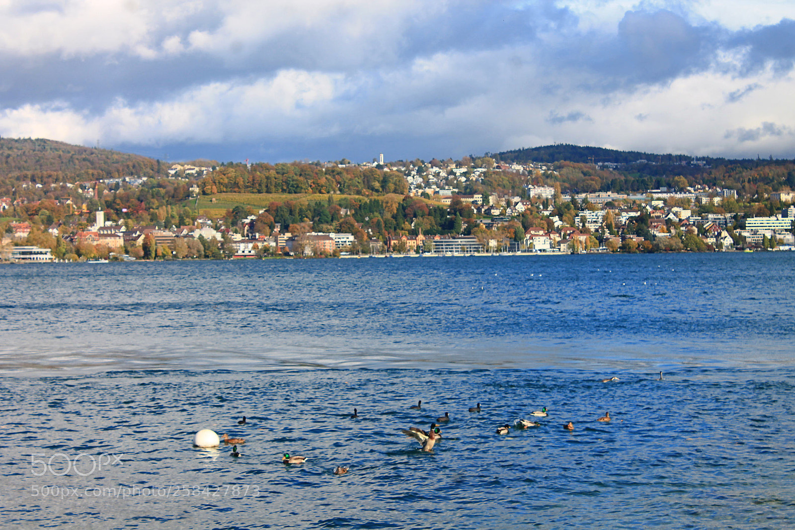 Canon EOS 1100D (EOS Rebel T3 / EOS Kiss X50) sample photo. Lake promenade at wollishofen photography