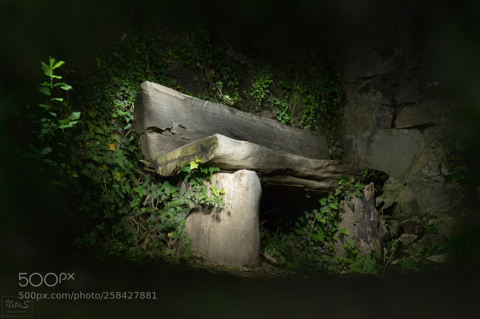 Olympus OM-D E-M1 Mark II sample photo. Frankenstein's castle by night photography