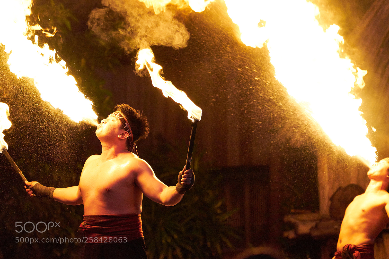 Sony a7 II sample photo. Human dragons photography