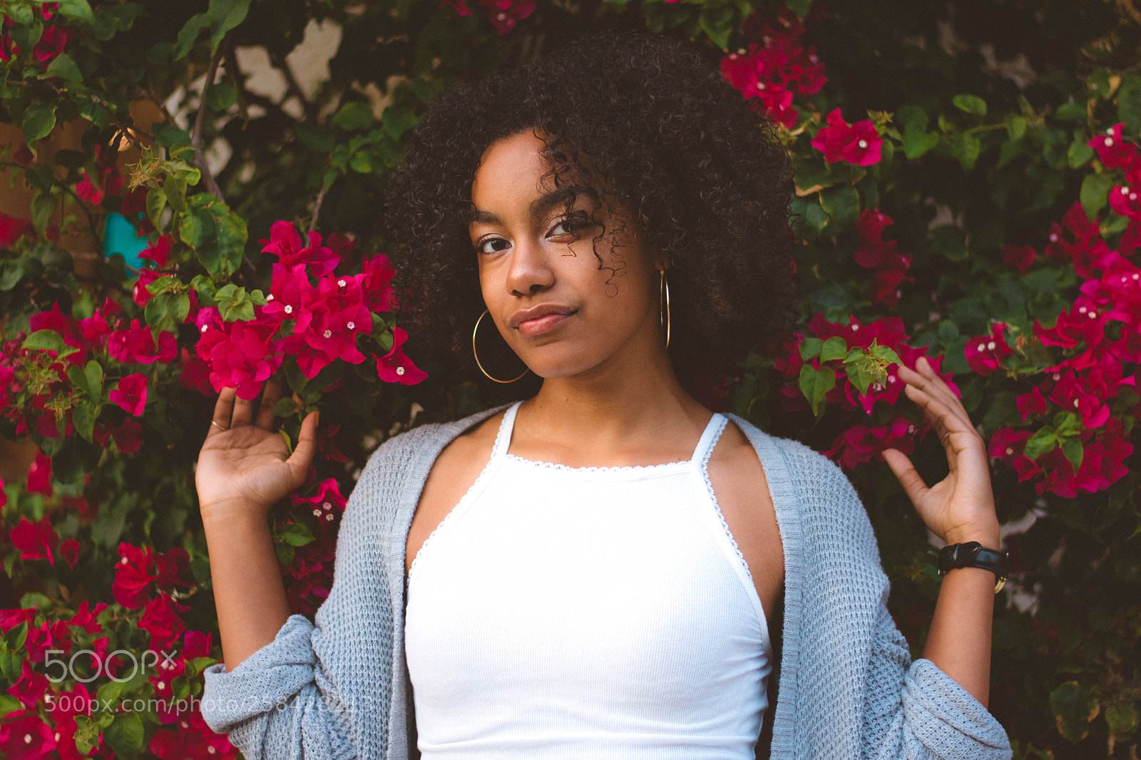 Nikon D3400 sample photo. Curly reds photography