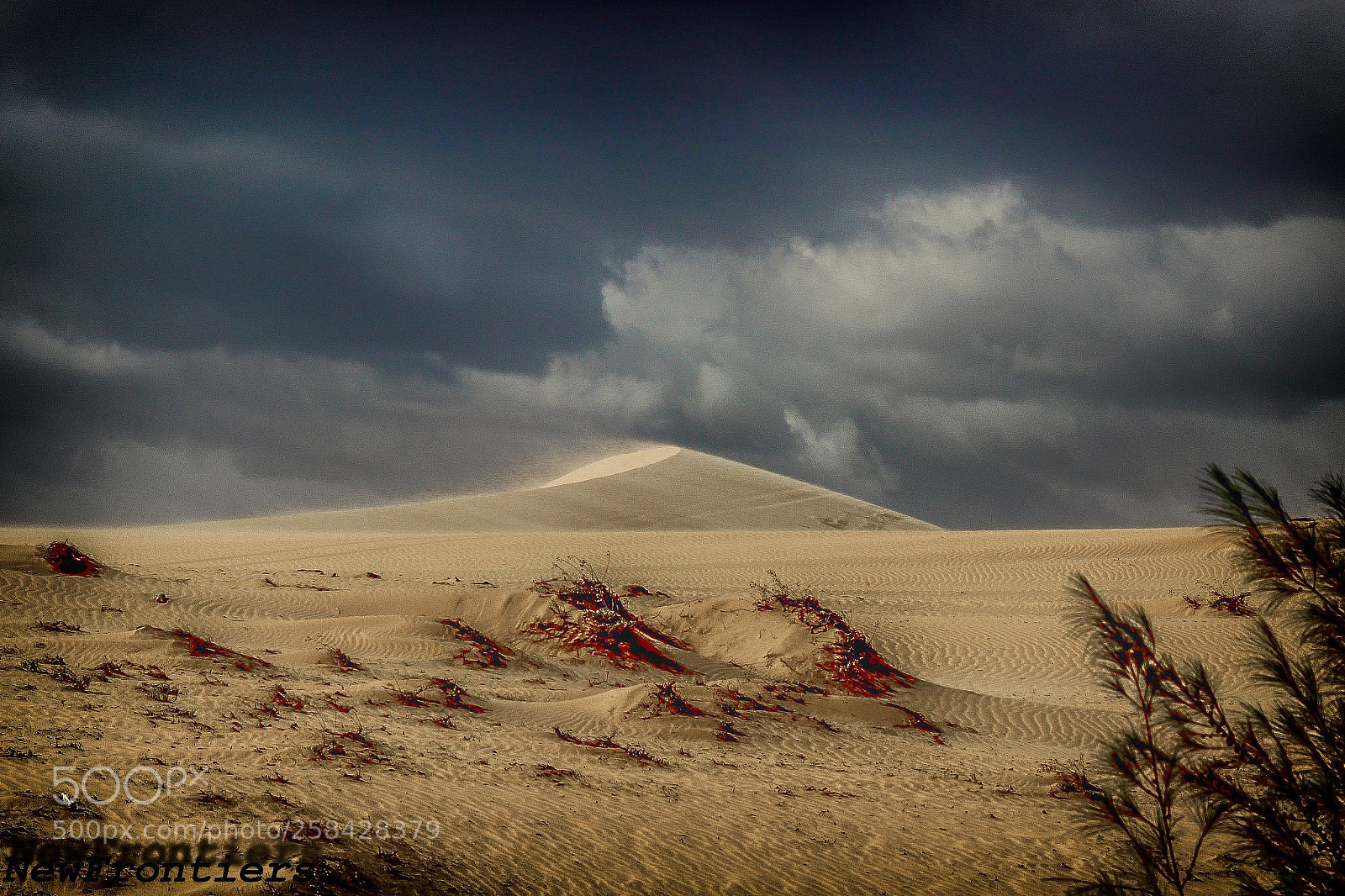 Canon EOS 600D (Rebel EOS T3i / EOS Kiss X5) sample photo. Desert storm - vietnam photography