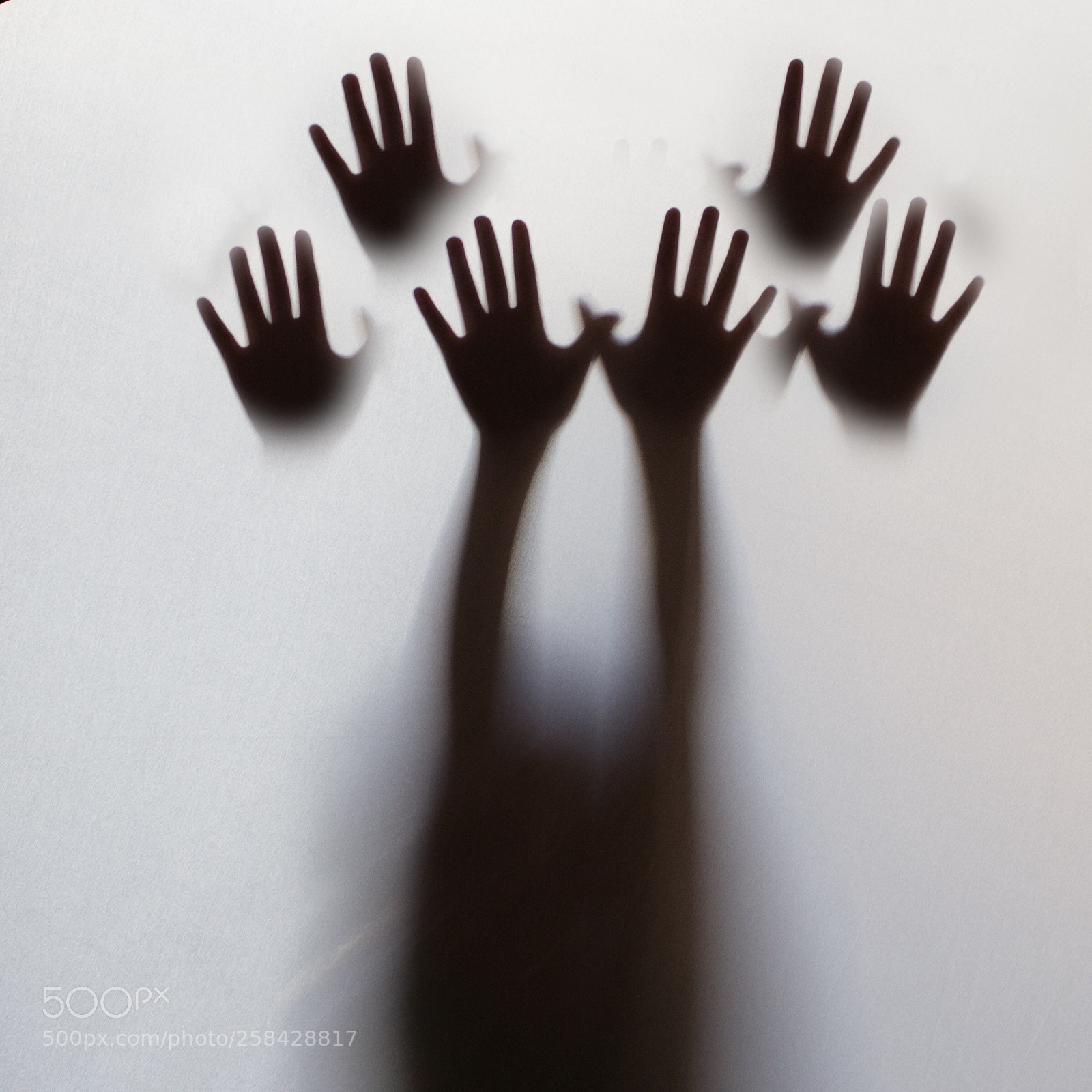 Canon EOS 6D sample photo. Hand  tree photography