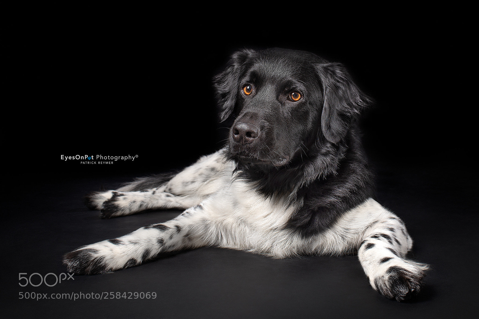 Nikon D610 sample photo. P i e r photography