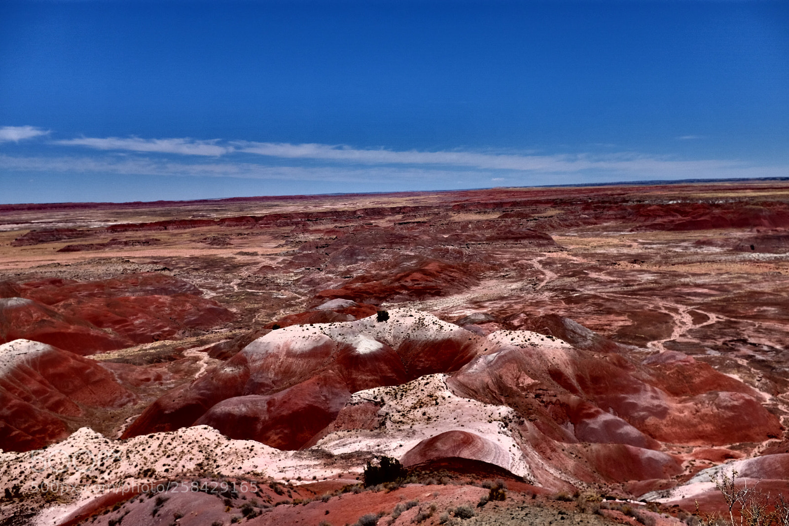 Fujifilm X100T sample photo. Painted desert photography