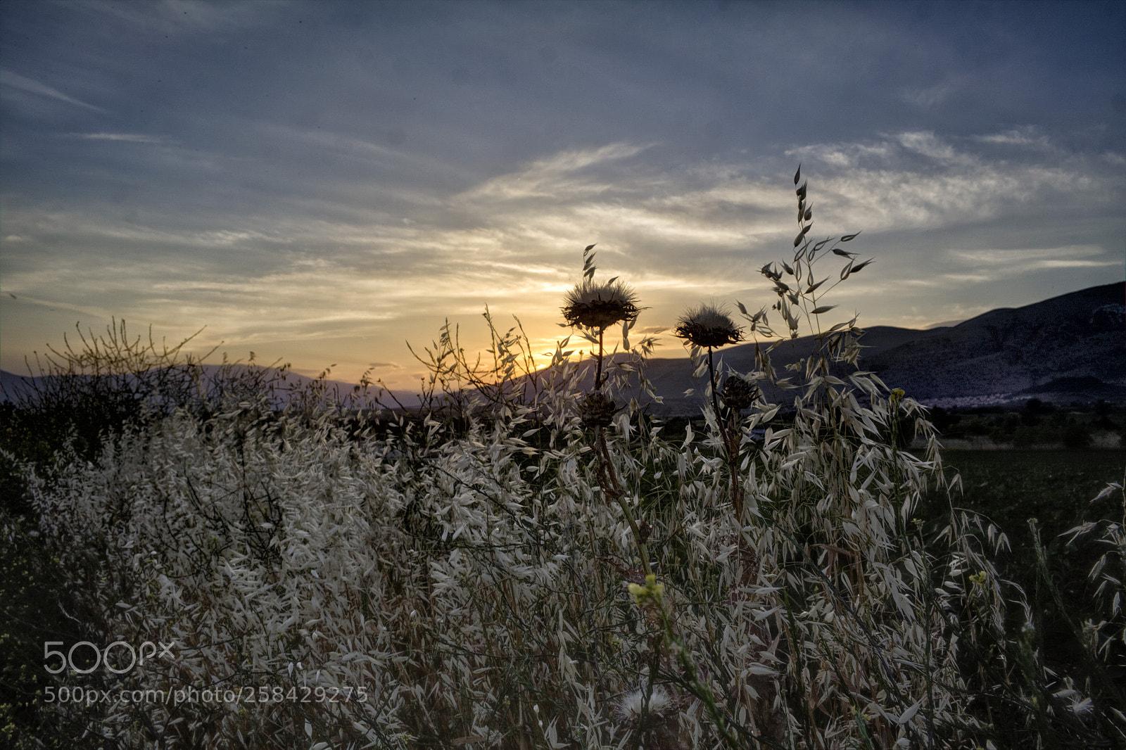 Canon EOS 50D sample photo. Colours of dusk photography