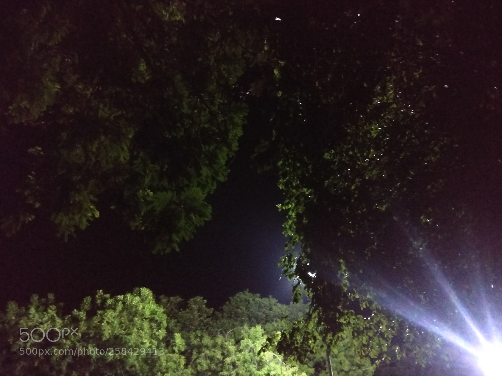 Xiaomi Redmi Note 4 sample photo. Untitled photography