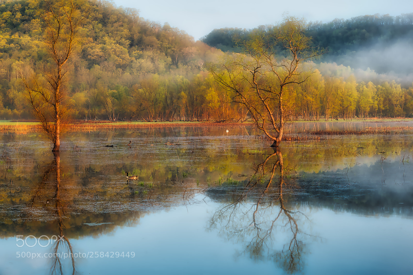 Canon EOS 6D sample photo. Fog in the valley photography
