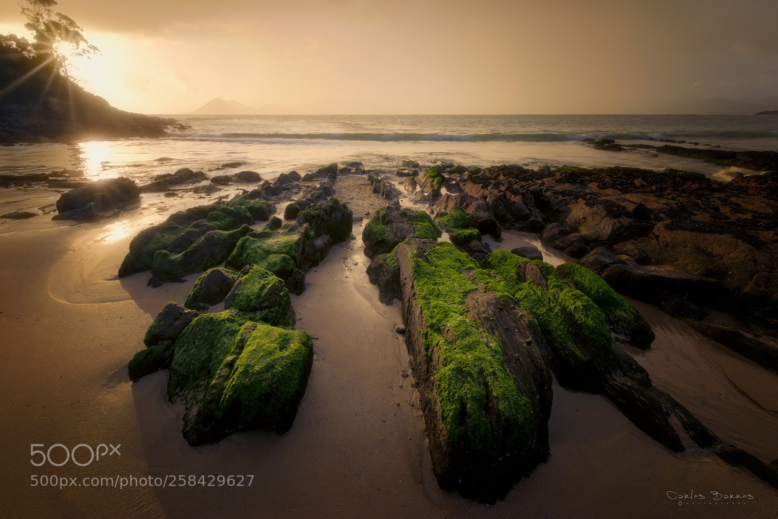 Nikon D7200 sample photo. Low tide photography