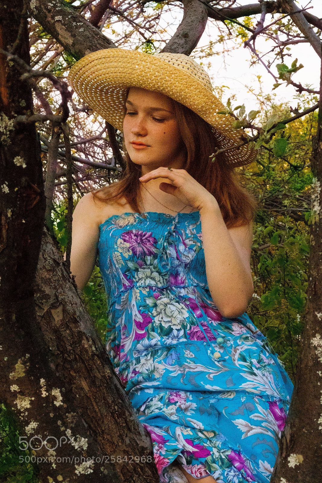 Canon EOS 77D (EOS 9000D / EOS 770D) sample photo. Untitled photography