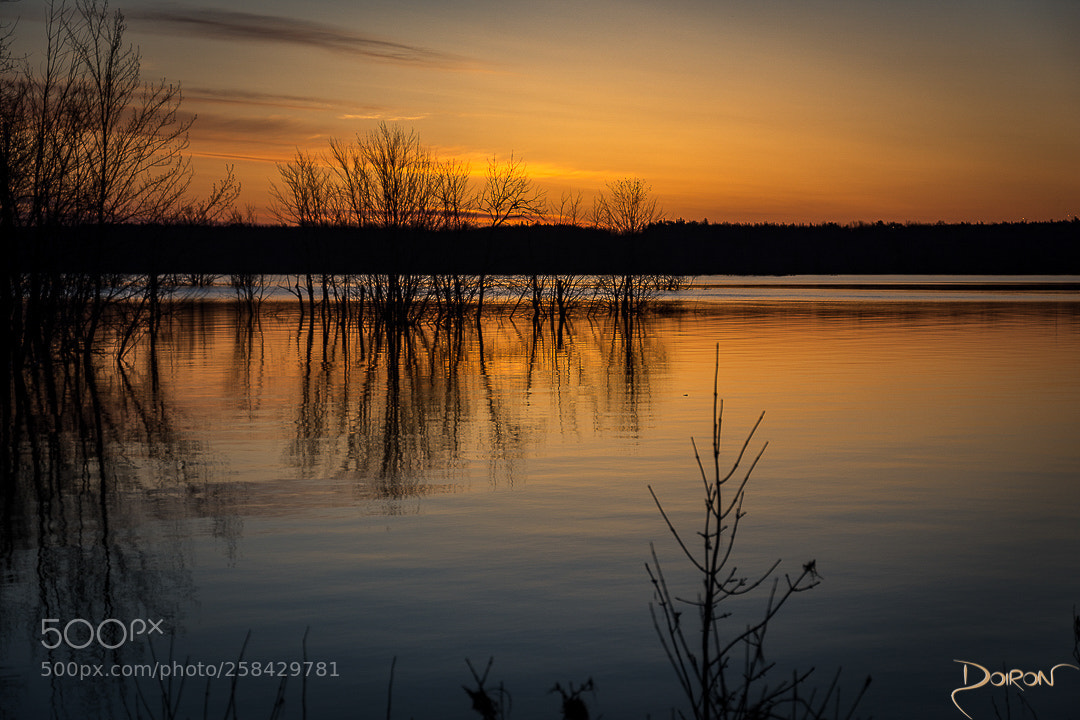 Nikon D7200 sample photo. Morning is breaking photography