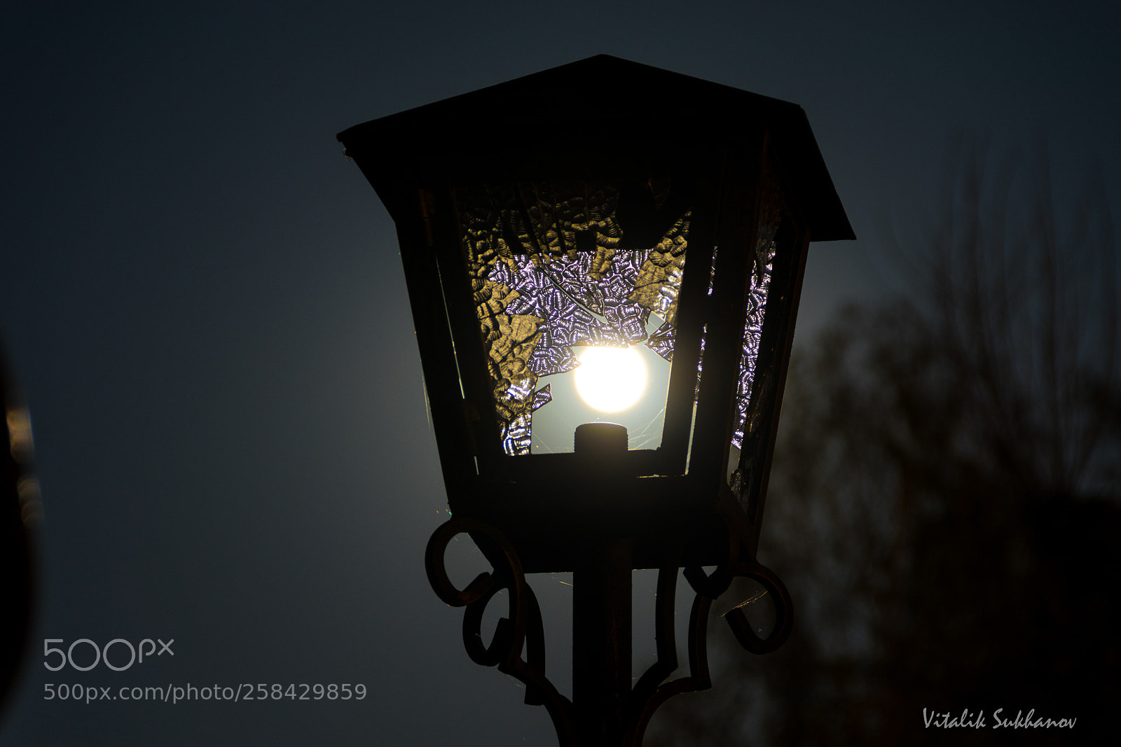Canon EOS 77D (EOS 9000D / EOS 770D) sample photo. Moonlight photography