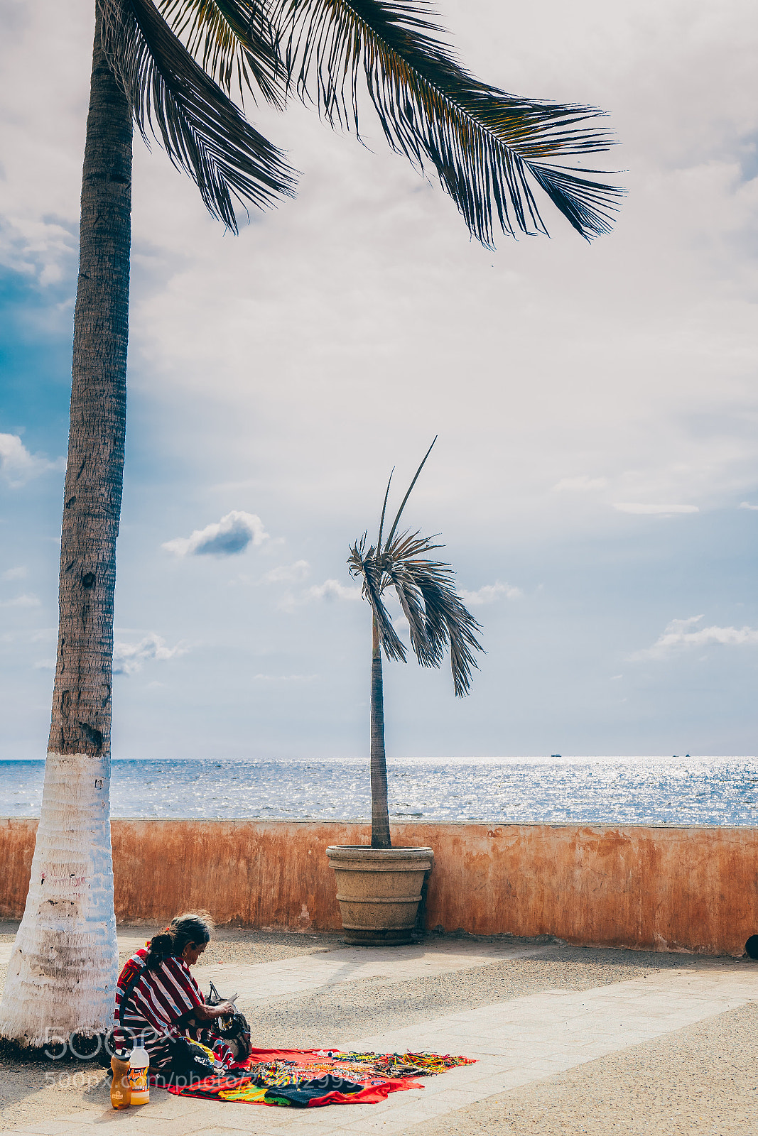 Sony a7R III sample photo. Life is simple photography