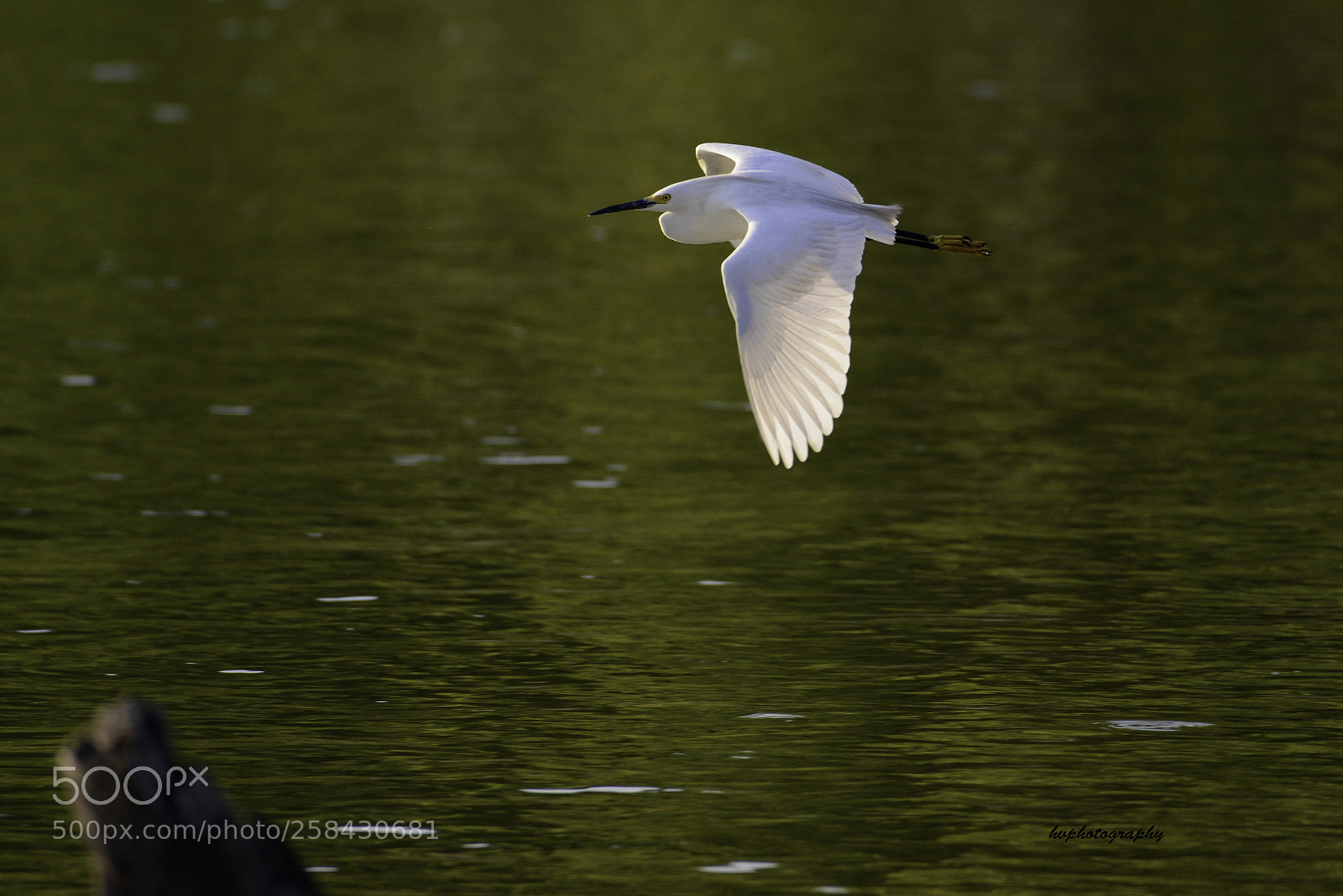 Nikon D800 sample photo. ..in flight  photography