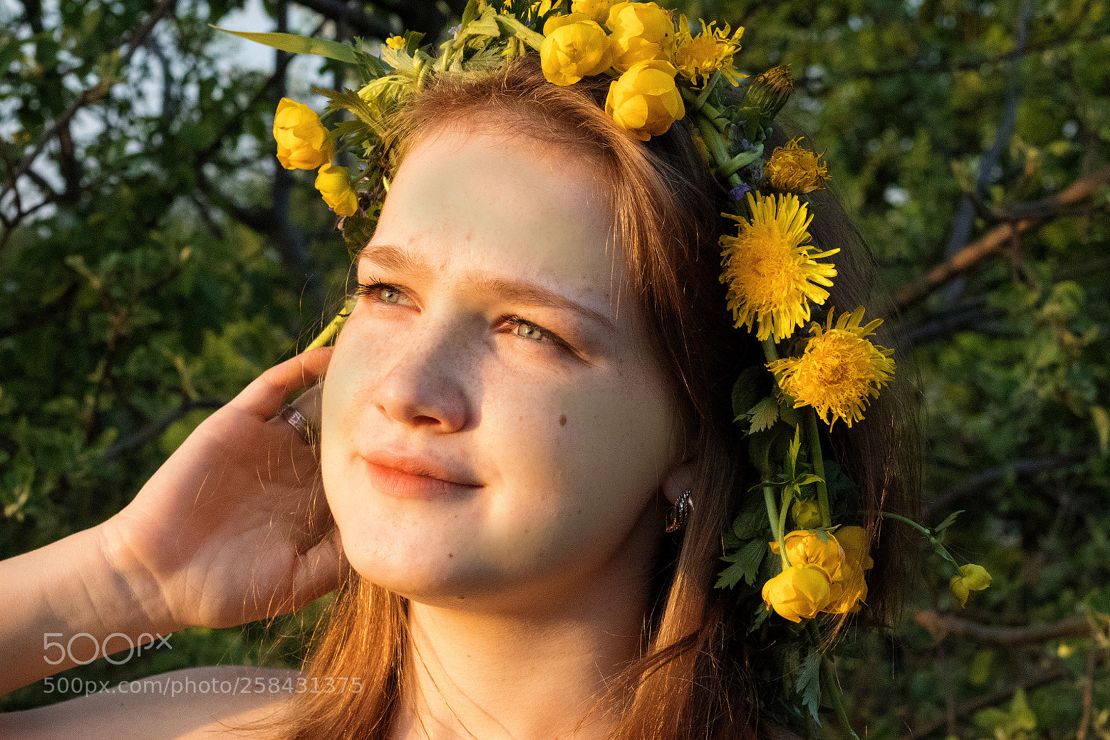 Canon EOS 77D (EOS 9000D / EOS 770D) sample photo. Untitled photography