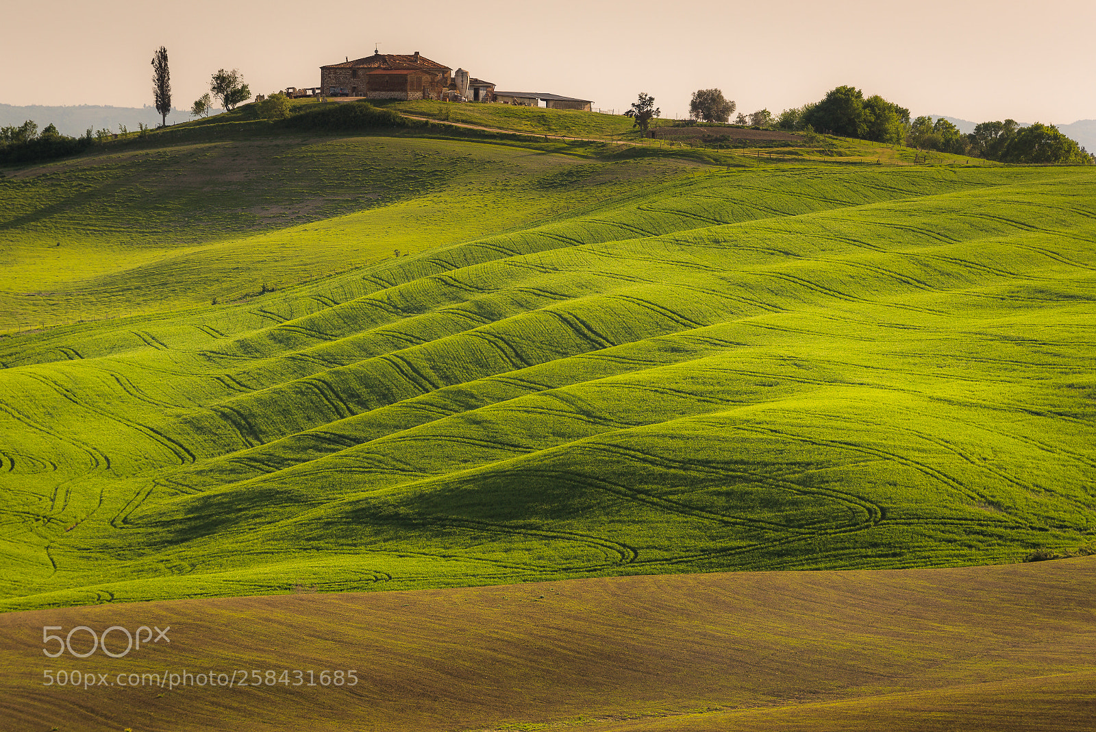 Nikon D800E sample photo. Tuscany lihgts photography