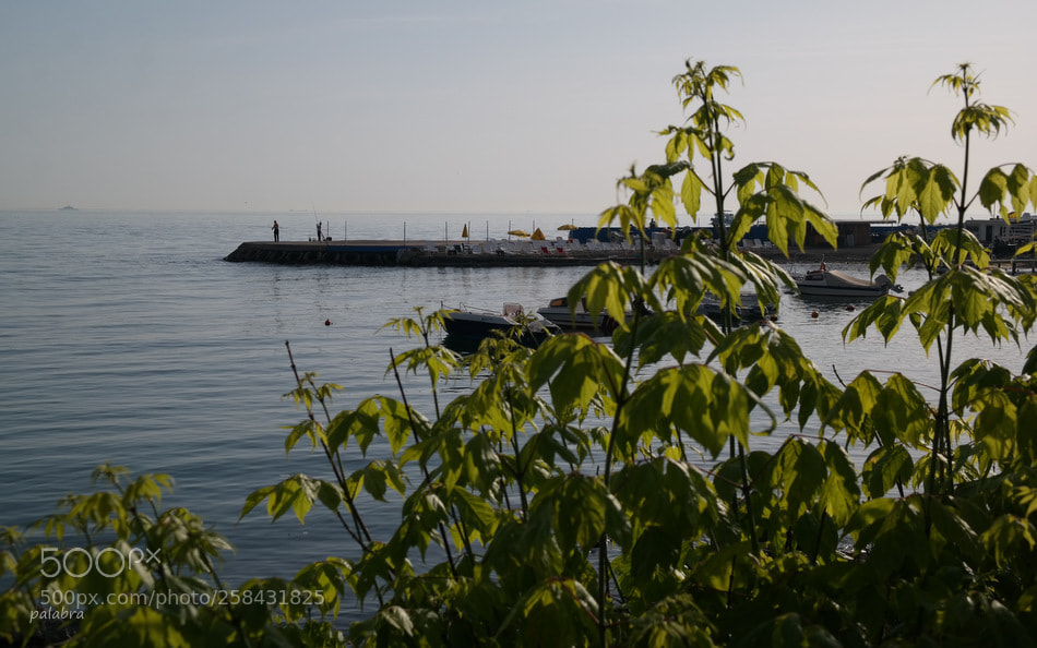 Samsung NX300 sample photo. ... photography