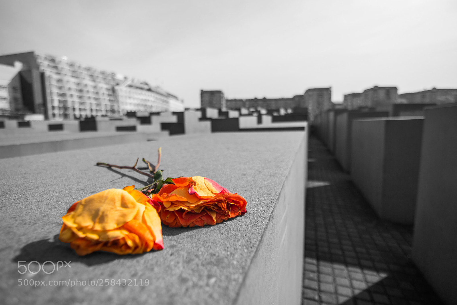Canon EOS 700D (EOS Rebel T5i / EOS Kiss X7i) sample photo. Sad past of world photography