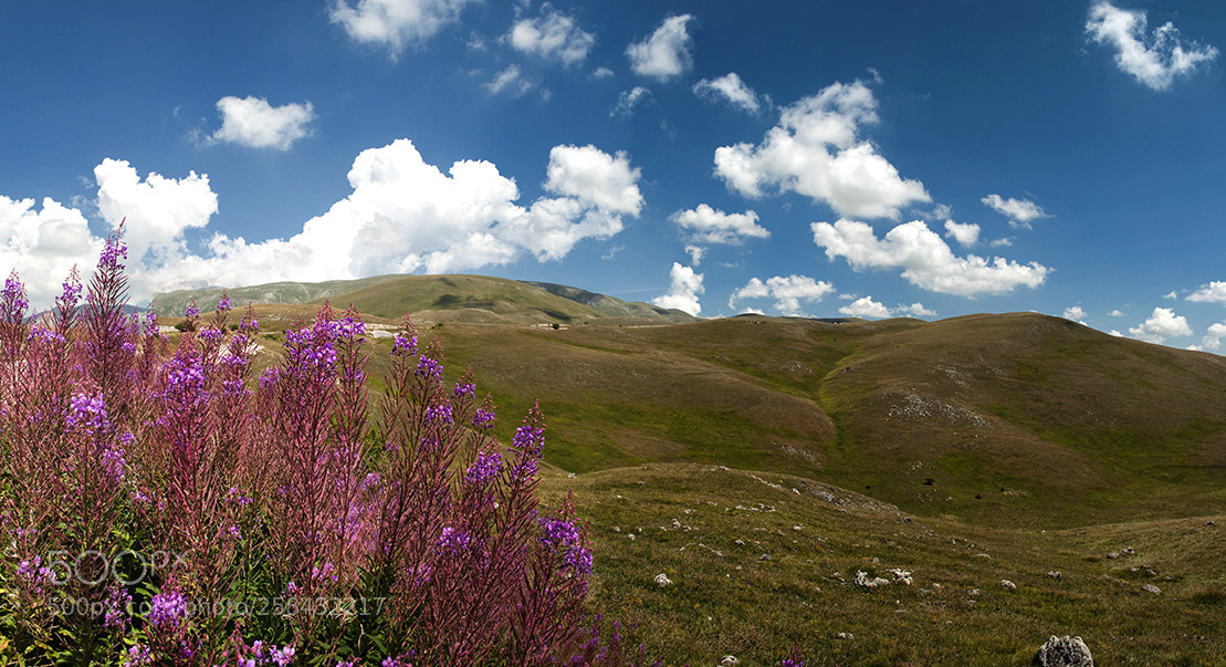 Nikon D5000 sample photo. Walking in the mountains photography