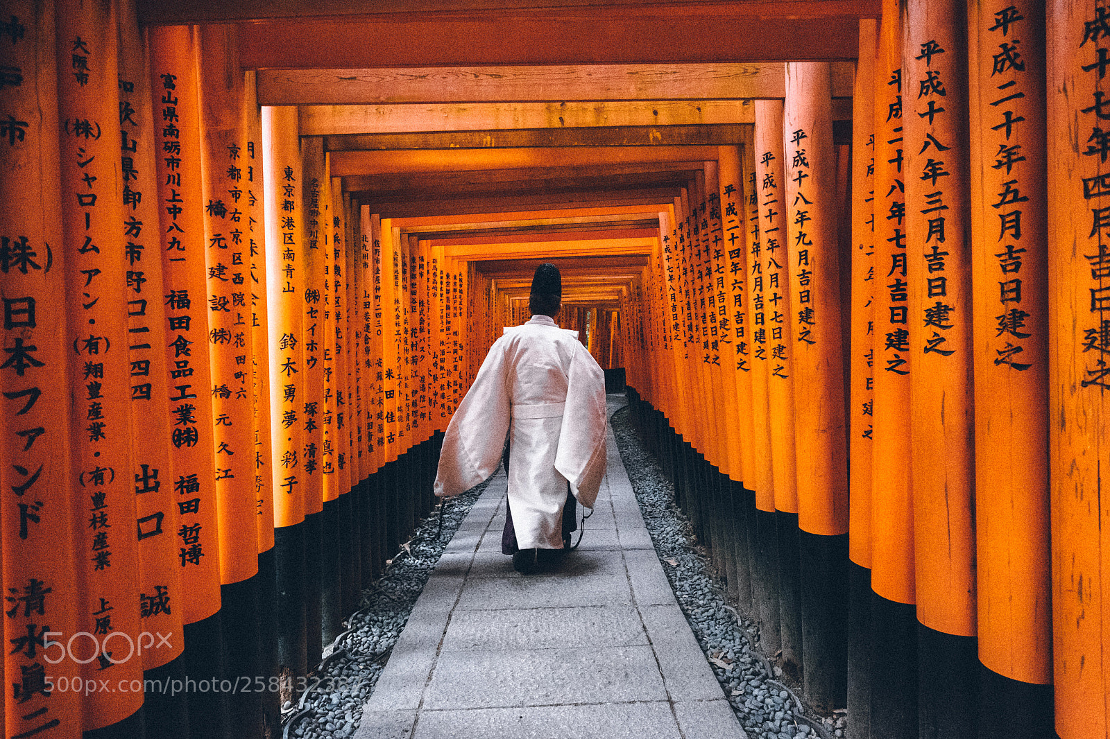 Fujifilm X-T1 sample photo. Torii photography