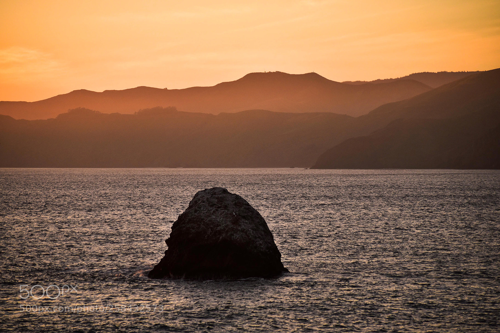 Nikon D750 sample photo. Untitled photography