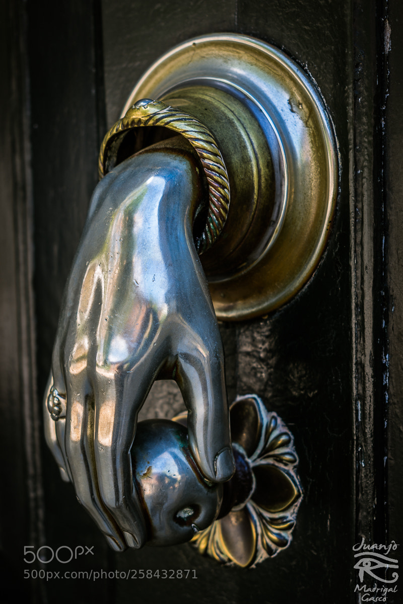 Nikon D7200 sample photo. Door knocker photography