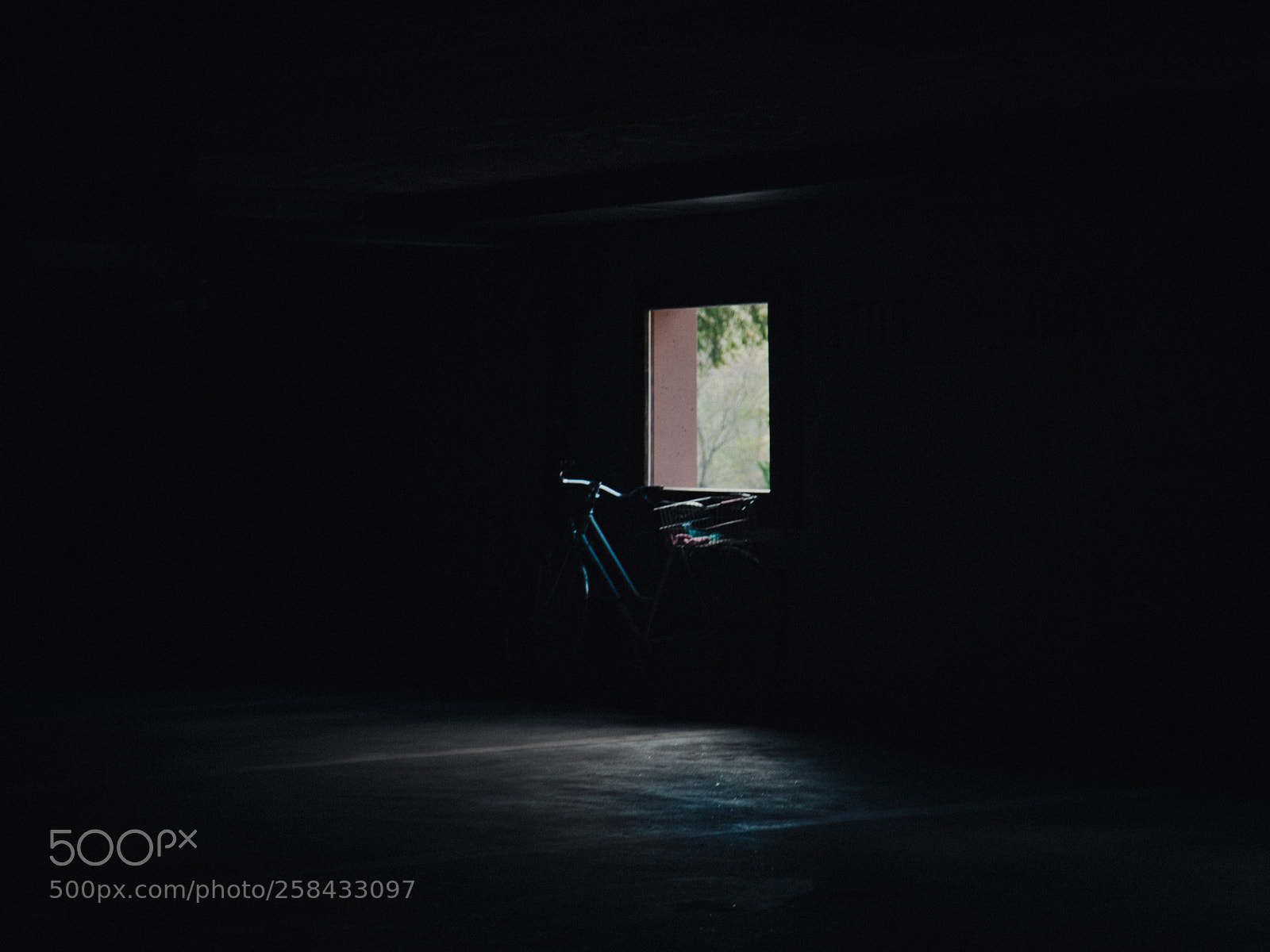 Sony a7R II sample photo. Untitled photography
