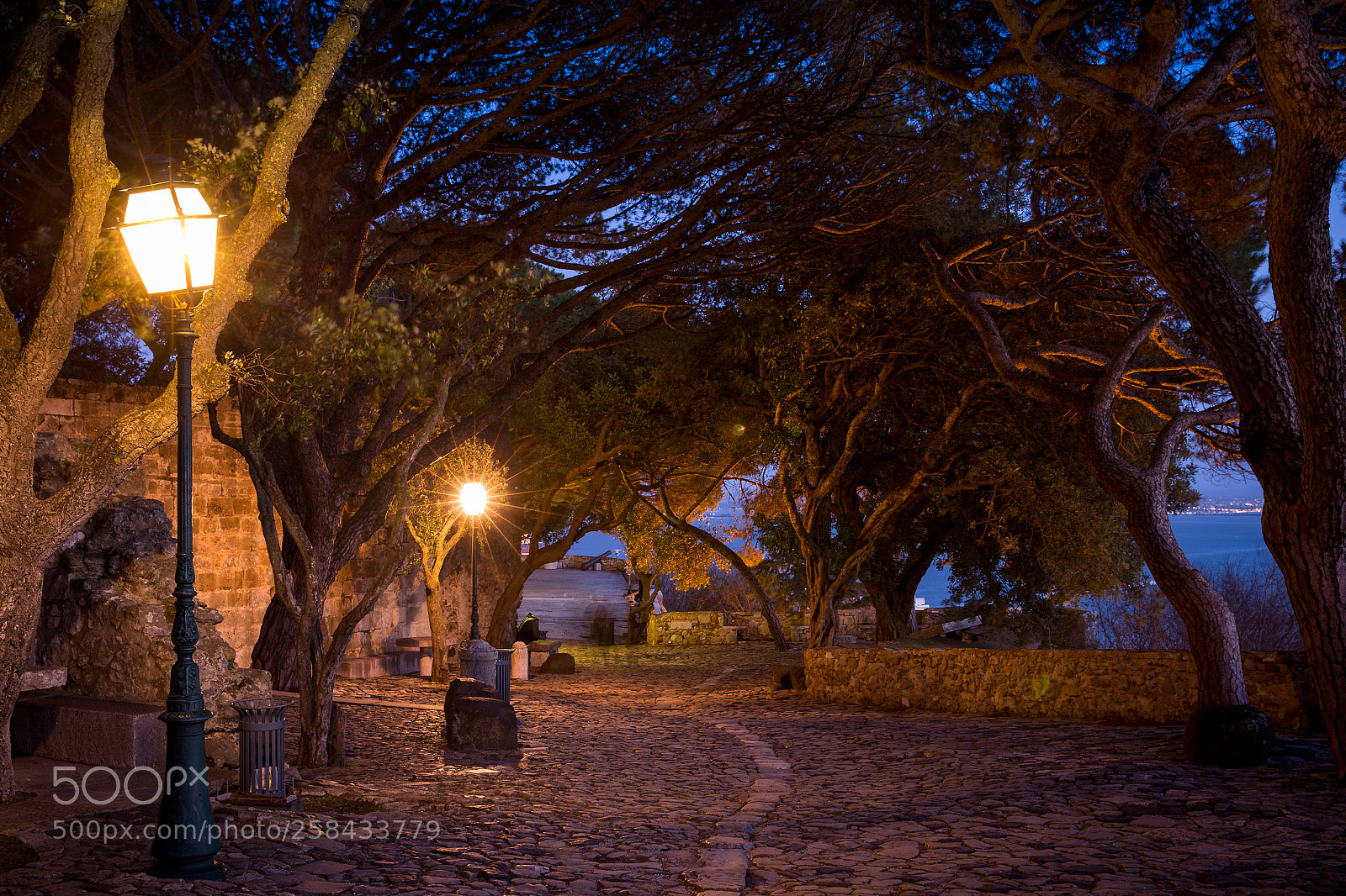 Canon EOS 6D sample photo. Castle's bousquet photography