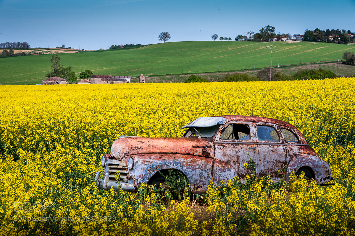 Nikon D5500 sample photo. The "old lady" photography
