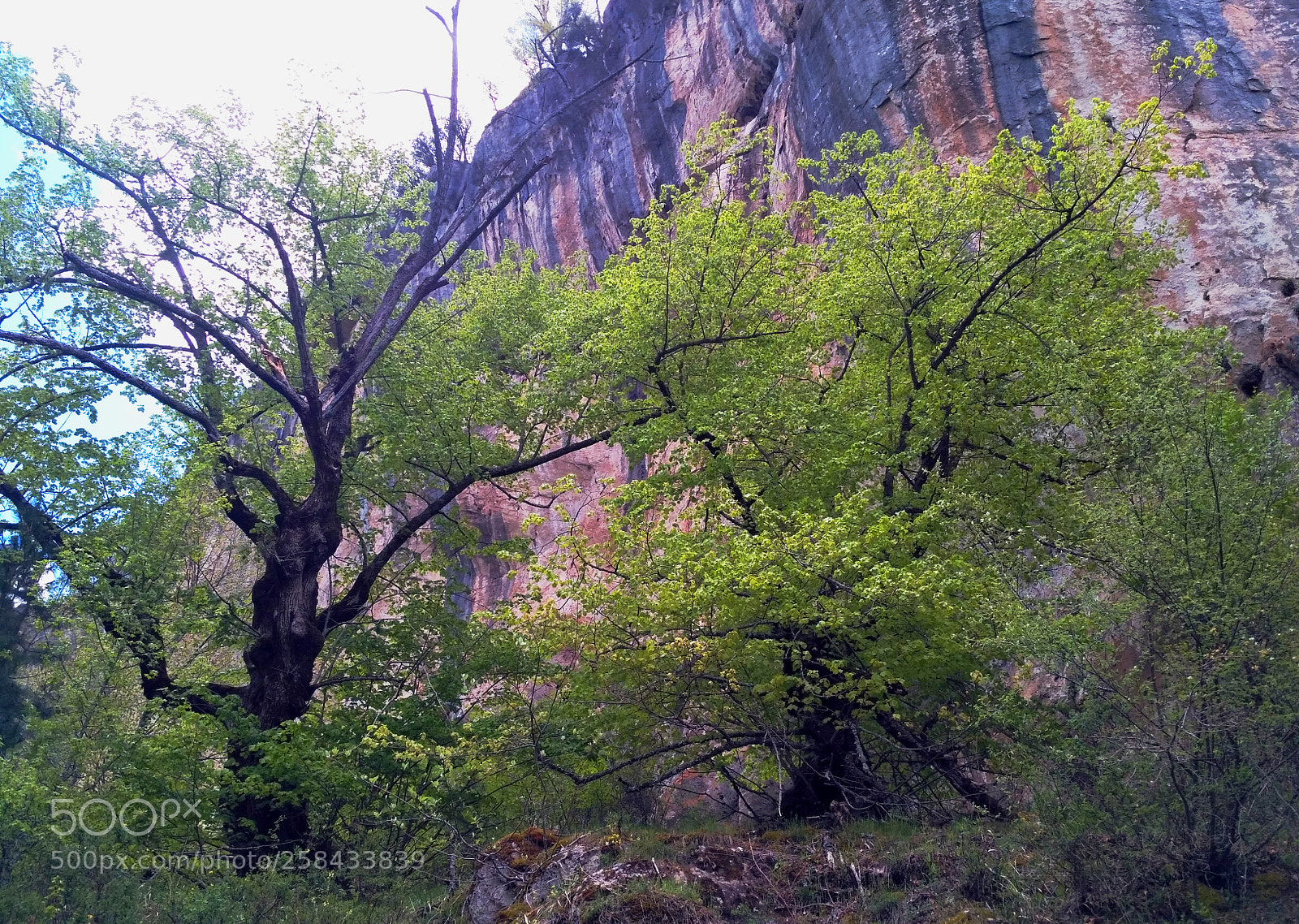 Xiaomi Redmi 3S sample photo. Tilos photography