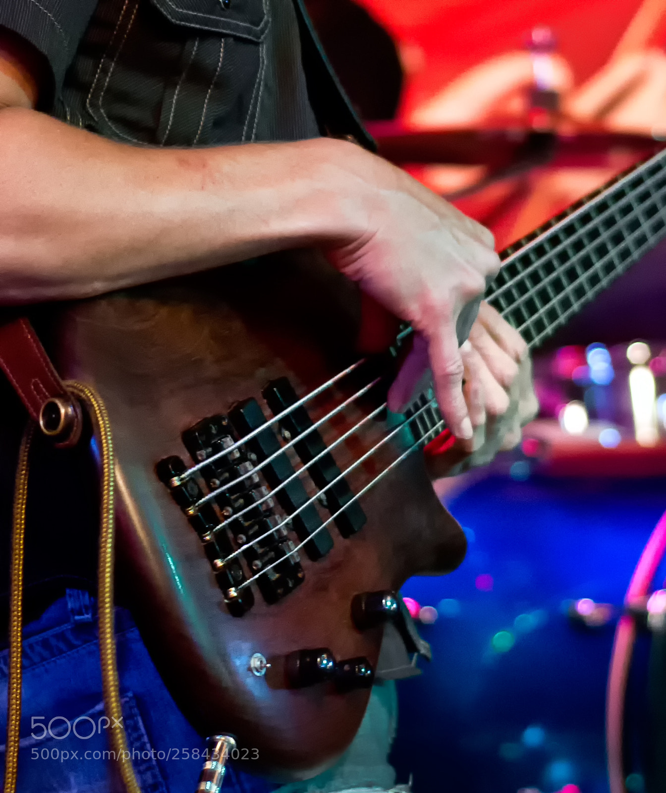 Nikon D800 sample photo. Five string bass photography