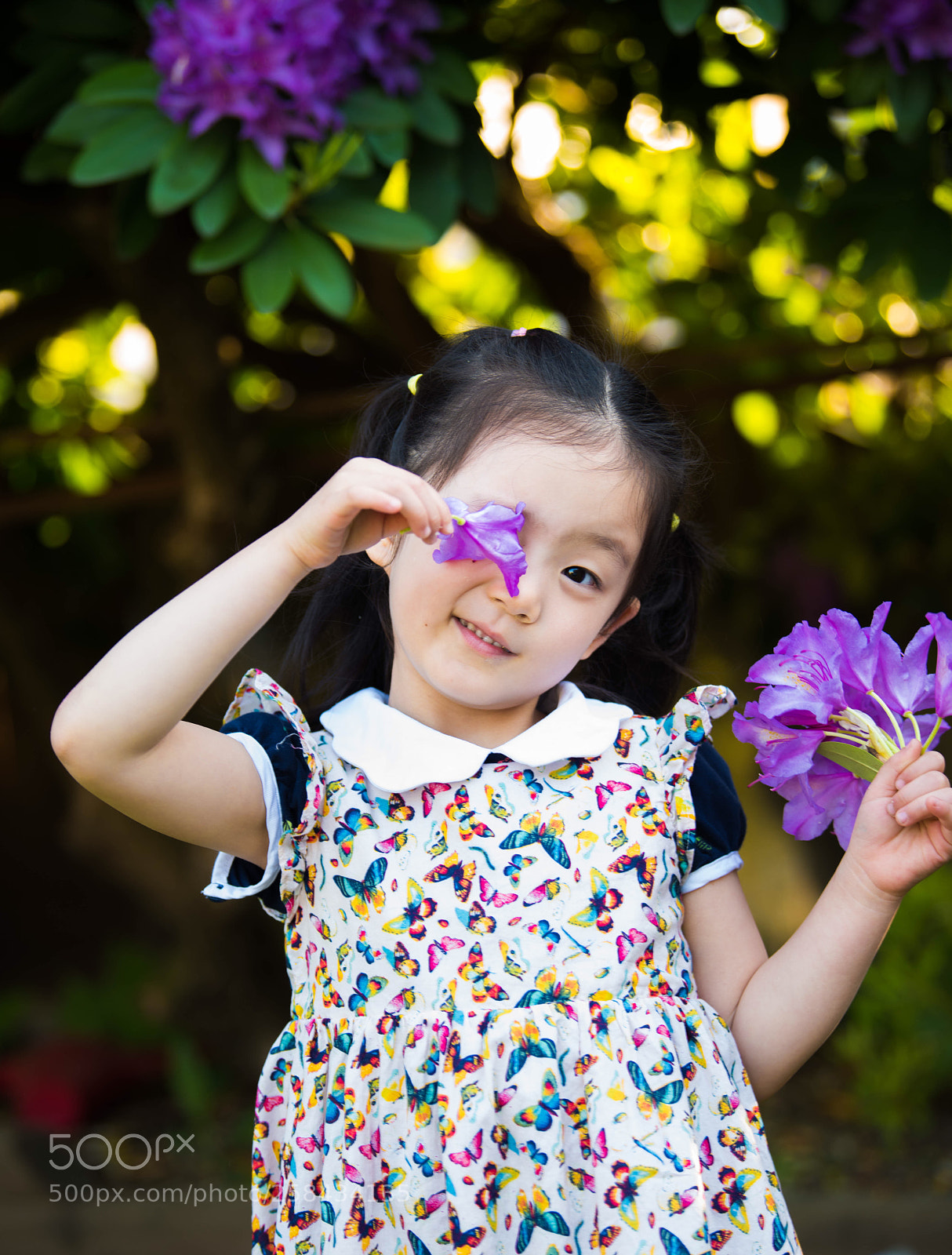 Nikon D810 sample photo. Girl with flower photography